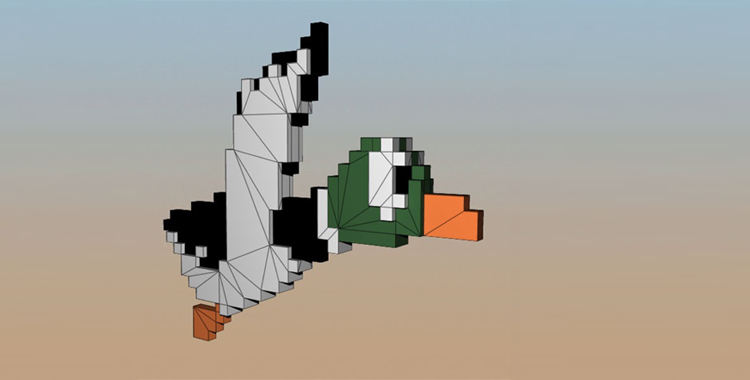 graphic design duck